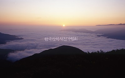 오래간만에 나들이를...