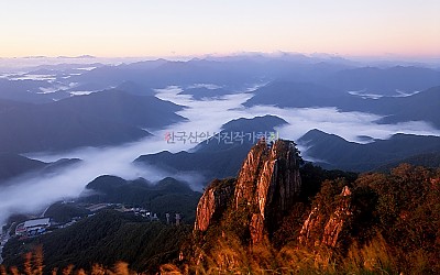 대둔산