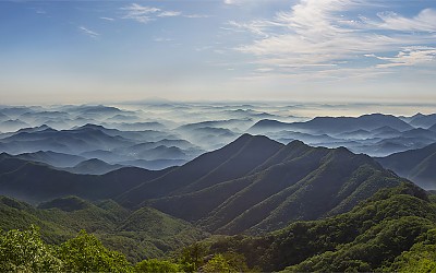 배린 사쥔...