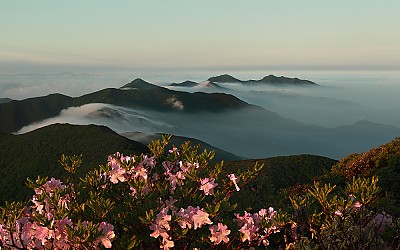 덕유산  철쭉