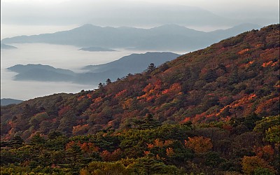 덕유산 단풍 시작입니다