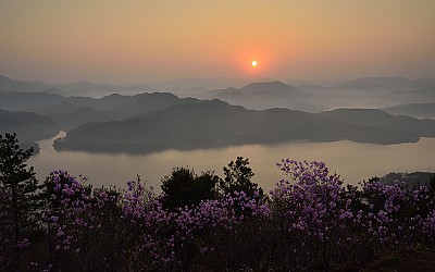 대청호반의 봄날 아침풍경