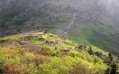 지리산의 봄