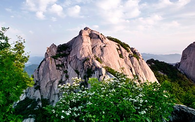 북한산 봄4