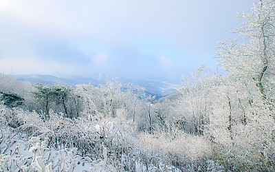 태기산
