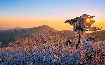 태백산 일출