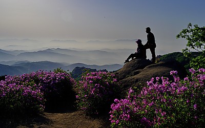 황매산의아침