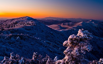 덕유설경