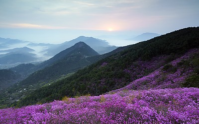 천주산