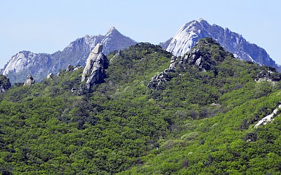 암봉의 노래