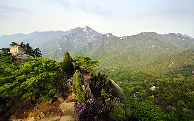 도봉산의 봄