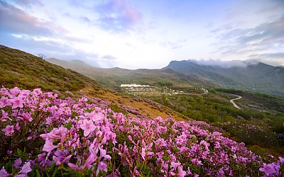 황매산