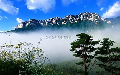  추색