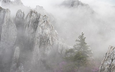 봄