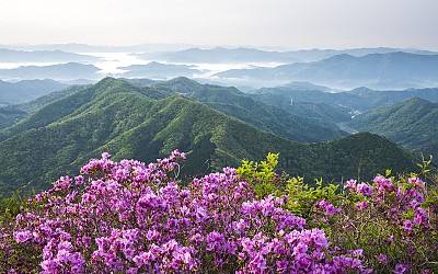 봄