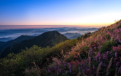 화려한 아침