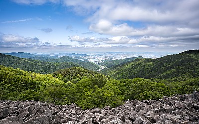 낮에도 사진을 찍다.