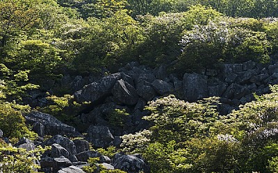봄