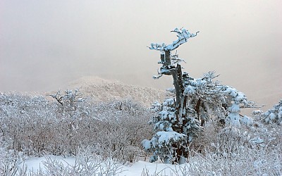 태백산