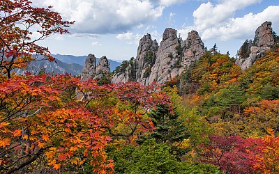 용아장성 추경