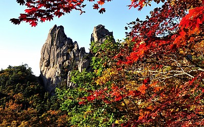 설악산 단풍 예정시기