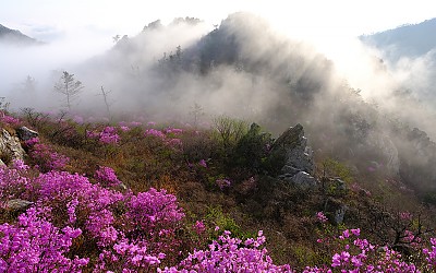 봄