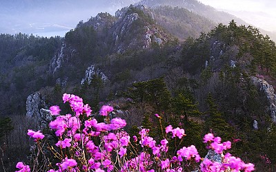 컬러크롬