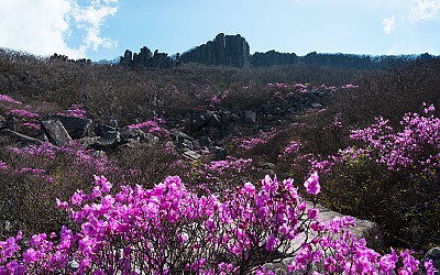 봄