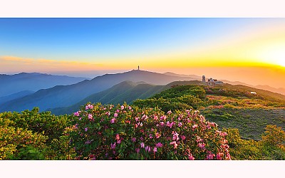 소백의 봄