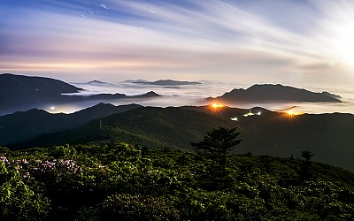 月光