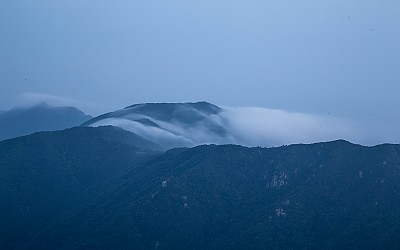 운해