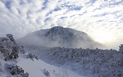  한라산