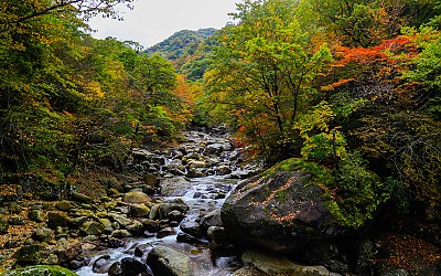 가을 계류