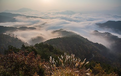 운해와 풍경