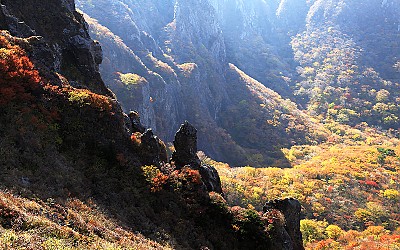 한라산 오백나한
