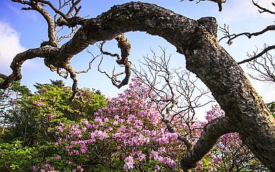 지난 봄