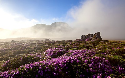 한라산