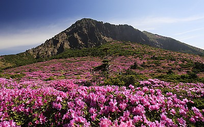 한라산
