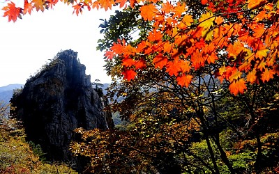 남설악의 추색