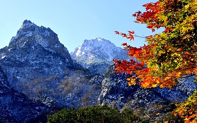설악산 노적봉 秋 雪