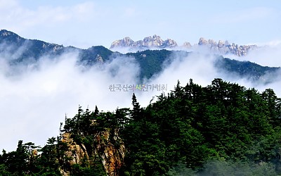 울산암 운해