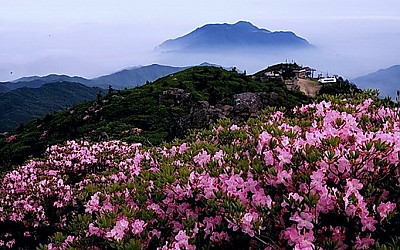 봄 생각