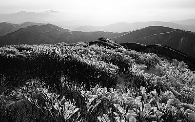 덕유산 중봉에서 본 빙화