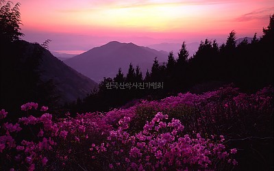 천주산