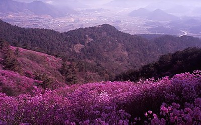 천주산