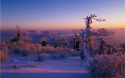 태백산