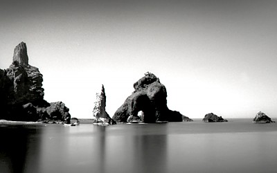 우리의 땅 독도