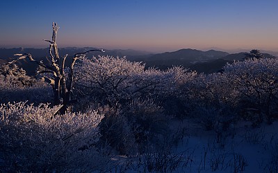 덕유설경