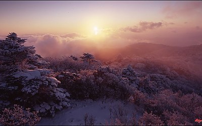 덕유