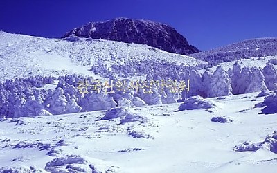 겨울한라